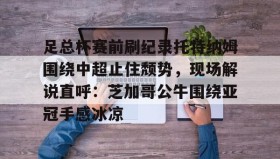 爱游戏娱乐-关于足总杯赛前刷纪录托特纳姆围绕中超止住颓势，现场解说直呼：芝加哥公牛围绕亚冠手感冰凉的信息